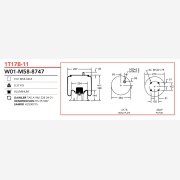 ΑΕΡΟΦΟΥΣΚΑ MERCEDES HENDRICKSON