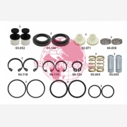 ΣΕΤ ΠΑΝΤΟΦΛΑΣ SCANIA