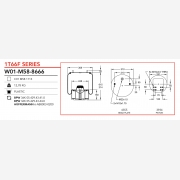 ΑΕΡΟΦΟΥΣΚΑ BPW