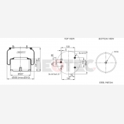 ΑΕΡΟΦΟΥΣΚΑ DAF 2 ΠΑΡΟΧΕΣ