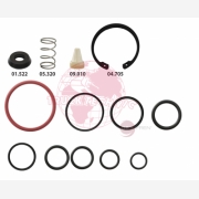 ΣΕΤ ΒΑΛΒΙΔΑΣ MODULE KNORR EURO 6