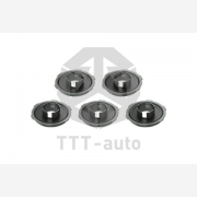 ΣΕΤ ΤΑΠΕΣ ΔΑΓΚΑΝΑΣ BPW