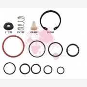 ΣΕΤ ΒΑΛΒΙΔΑΣ MODULE KNORR EURO 6
