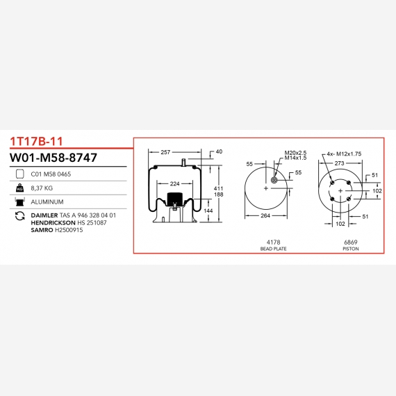 ΑΕΡΟΦΟΥΣΚΑ MERCEDES HENDRICKSON