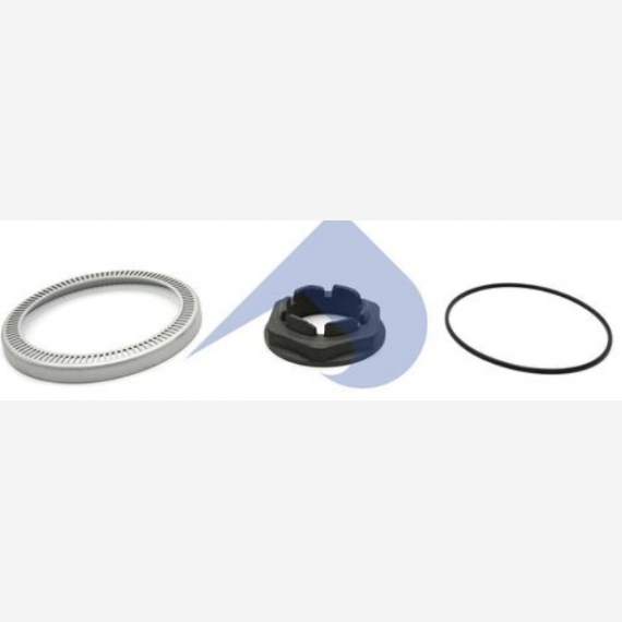 ΓΡΑΝΑΖΙ ABS DAF SET ΠΑΞΙΜΑΔΙ ORING